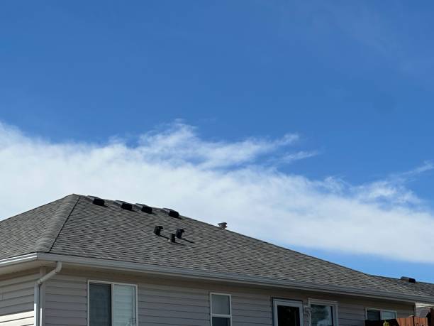 Best Flat Roofing  in Mobridge, SD